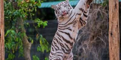 304am永利集团(集团)有限公司官网