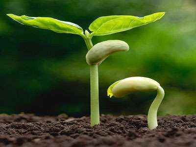 304am永利集团(集团)有限公司官网