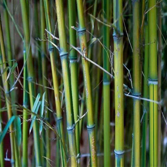 304am永利集团(集团)有限公司官网