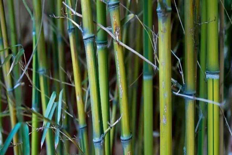 304am永利集团(集团)有限公司官网