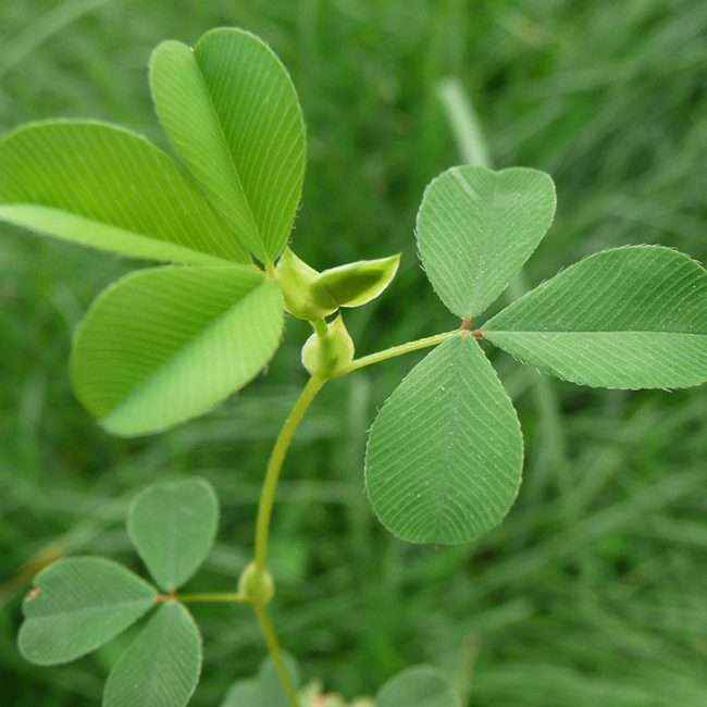 304am永利集团(集团)有限公司官网