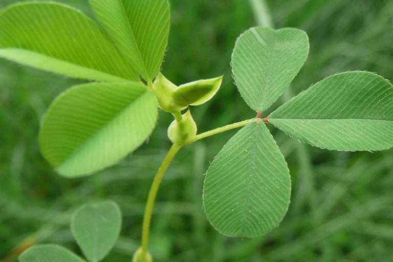 304am永利集团(集团)有限公司官网