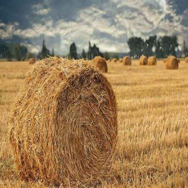 304am永利集团(集团)有限公司官网