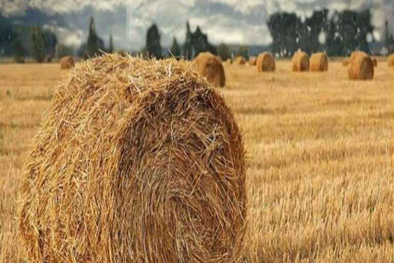 304am永利集团(集团)有限公司官网