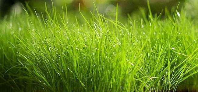 304am永利集团(集团)有限公司官网