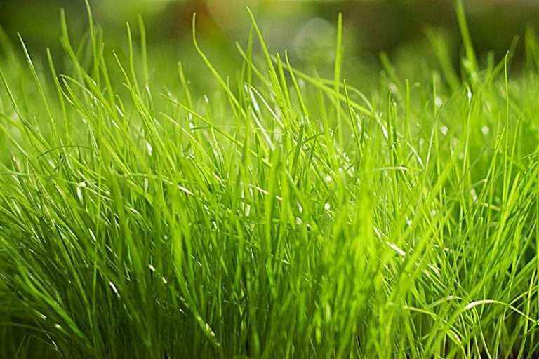 304am永利集团(集团)有限公司官网