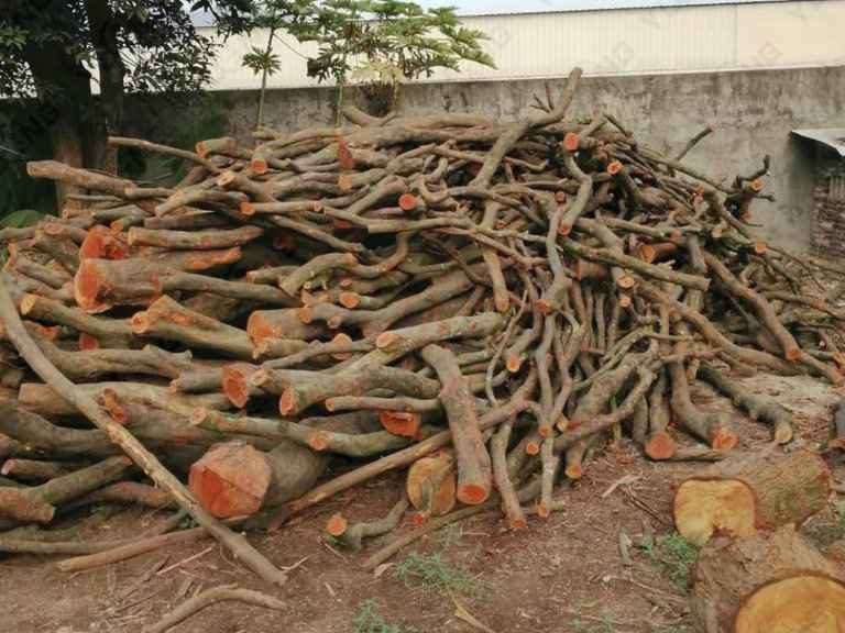 304am永利集团(集团)有限公司官网