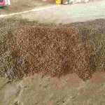 304am永利集团(集团)有限公司官网