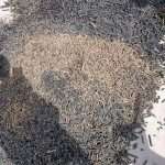 304am永利集团(集团)有限公司官网