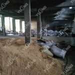 304am永利集团(集团)有限公司官网