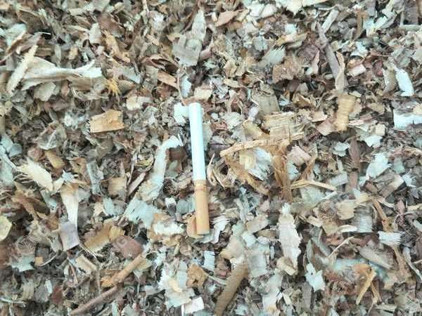 304am永利集团(集团)有限公司官网