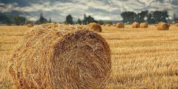 304am永利集团(集团)有限公司官网