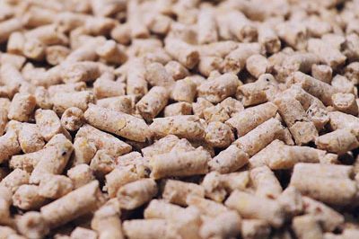 304am永利集团(集团)有限公司官网